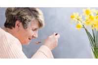 Dénutrition : quand des repas trop légers mettent la santé des aînés à risque